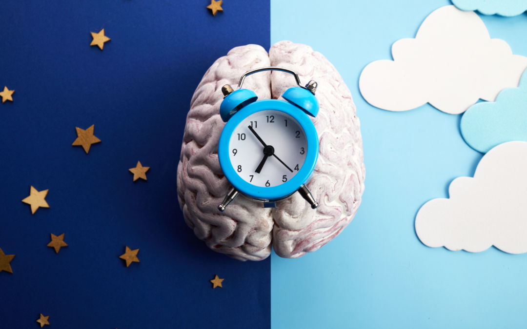 Những thói quen hằng ngày hỗ trợ cân bằng nhịp sinh học